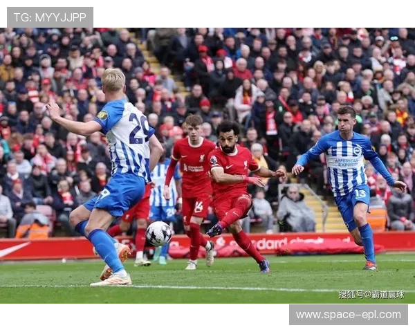 布莱顿vs阿森纳战术对决，许策勒平衡防守与控球理念受考验