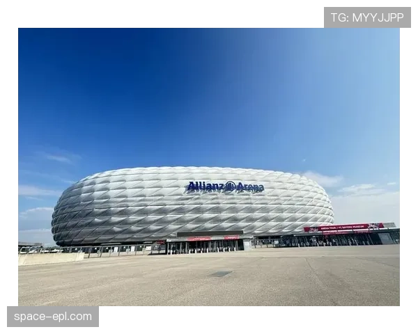 安联球场因球迷投掷杂物比赛中断十分钟，主队被警告